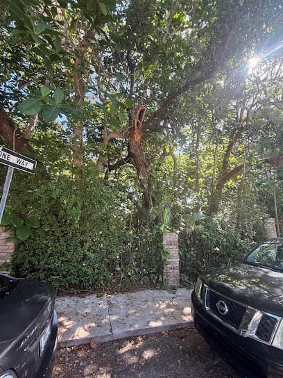 Sunshine Grove Arbors