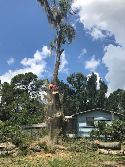 Southern Touch