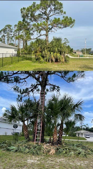 RLTC Inc. Tree Service and Lawn Care