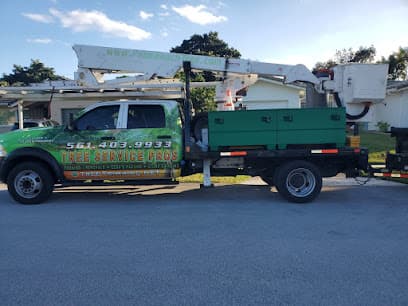 Tree Trimming Service