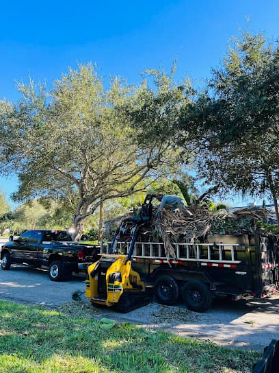 Sanchez Tree service and Trimming Service,LLC