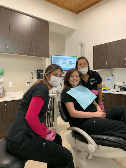 Sarasota Dentistry