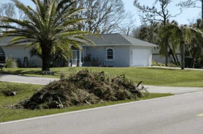 Coastal Crown Tree Services