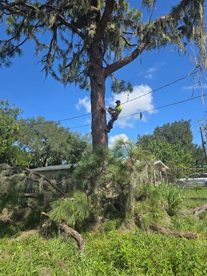 Green Lawn Maintenance And Tree Services