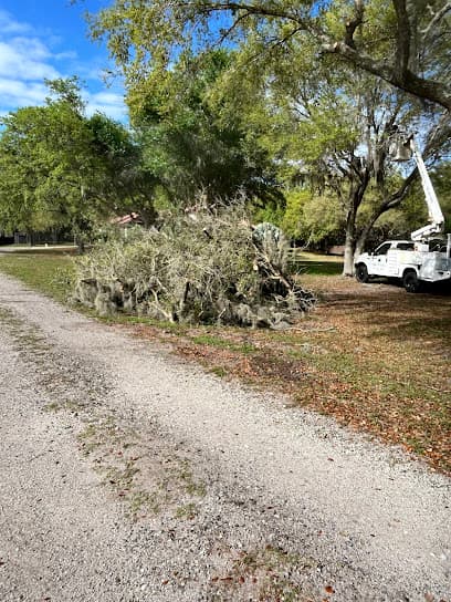 Ultimate Tree Service LLC