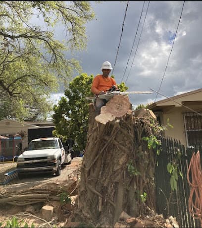 sanchez dorgys land services