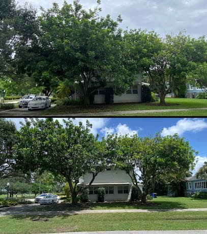 City Tree Care LLC