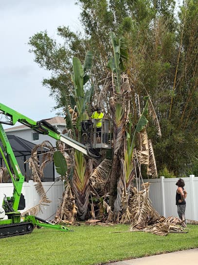 Canopy Kings Tree Service LLC