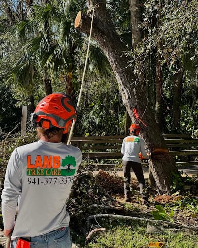 Lamb Tree Care