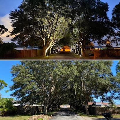 Space Coast Tree & Landscape