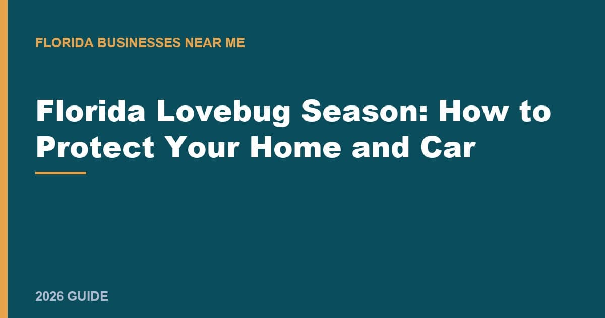 Florida Lovebug Season: How to Protect Your Home and Car