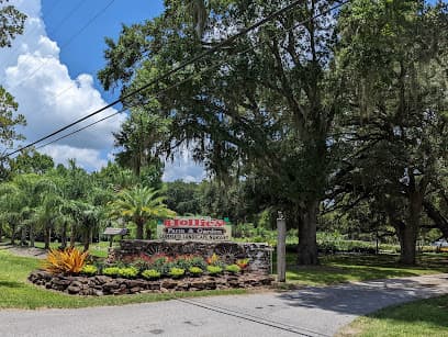 Hollie's Farm & Garden