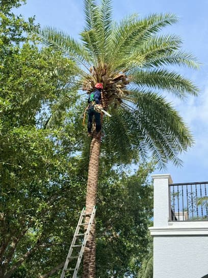 Pro Tree Services