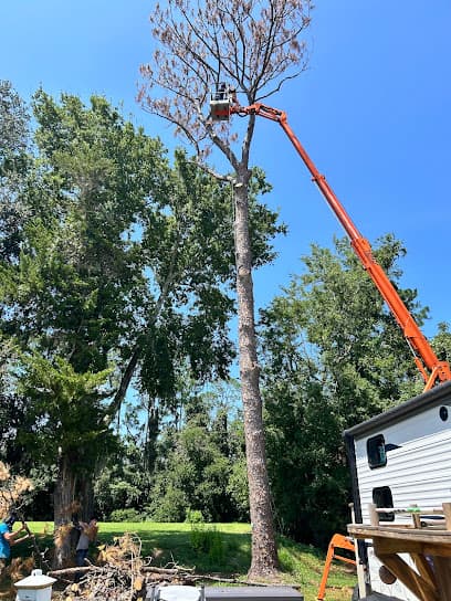 Southern Tree Experts, LLC