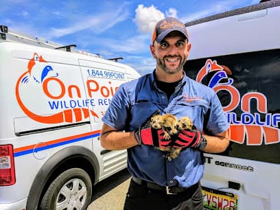 On Point Wildlife Removal
