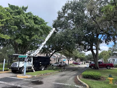 Service Queen Tree Service