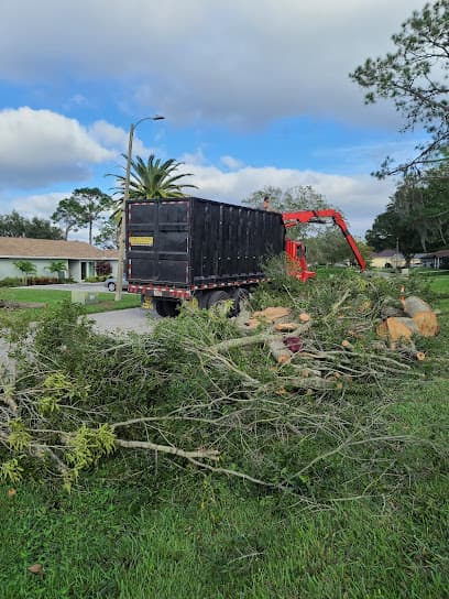 Wesley Chapel Tree Service