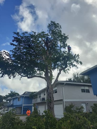 Riviera Beach Tree Service