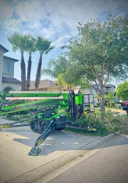 Hairy Tree Care