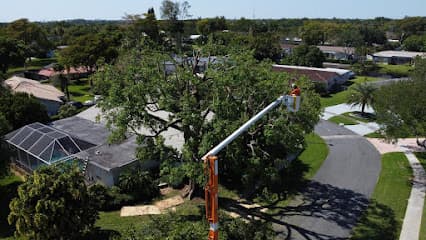 Perfect Trees Services Corp