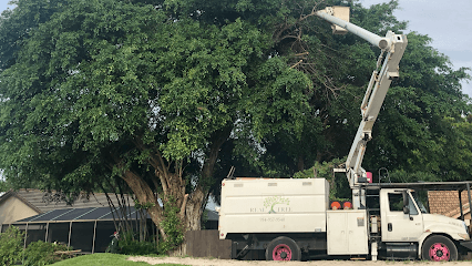Real Tree Trimming & Landscaping, Inc.