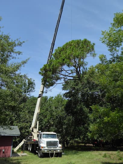 Arbor Tree Care