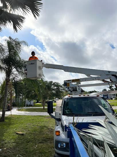 Dixie Tree Services