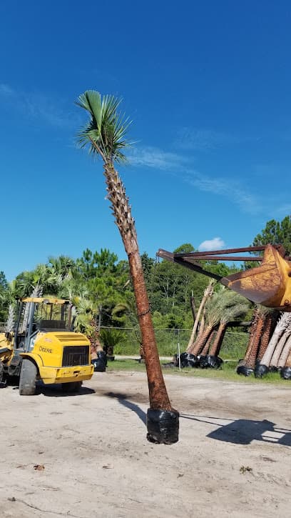 Lisenby Palms Inc.