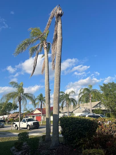 Lightning Tree Service