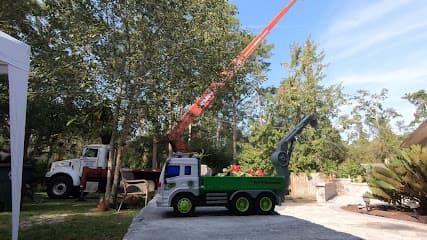 Custom Tree Surgeons