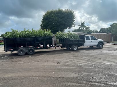 Birdseye Transport & Logistics