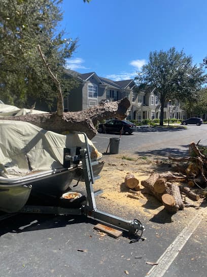 LumberJake’s Tree Service