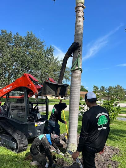 Ever Tree Service Palm Beach County