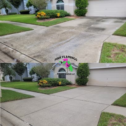 Pink Flamingo Power Wash