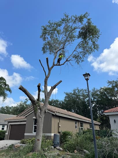 Tree Service of South Florida INC